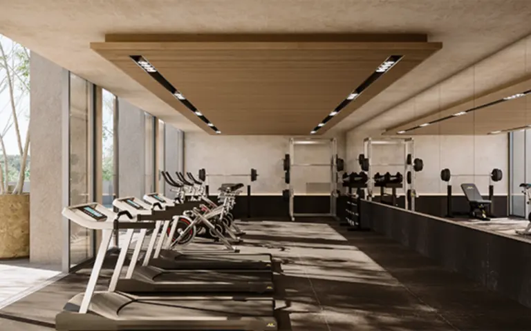 Constelada-gimnasio