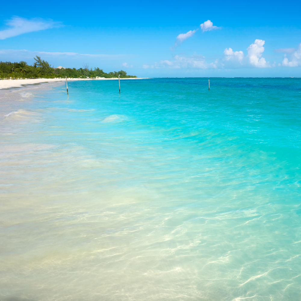 Riviera maya Playa del Carmen beach