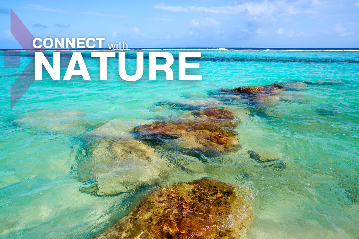 mahahual-nature-02