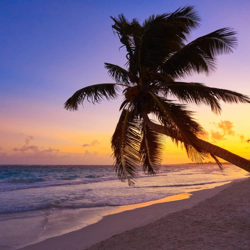 Homes-in-Mexico-Tulum-beach-sunset-palmtree-o