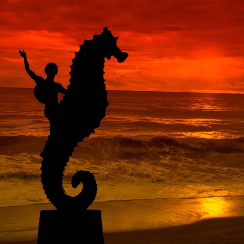 Puerto-vallarta-sea-horse-sunset-o