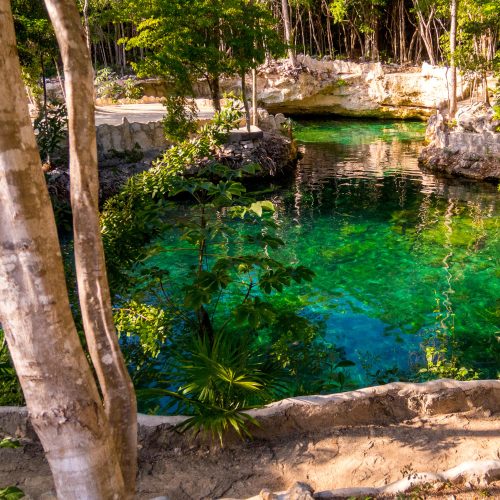 Riviera-maya-cenote-o