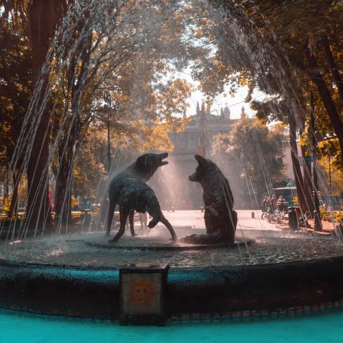 cdmx-fuente-coyoacan-1000x1000-1