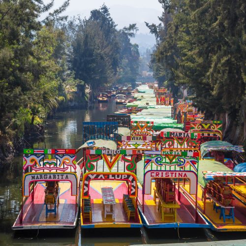 cdmx-xochimilco-1000x1000-1-o