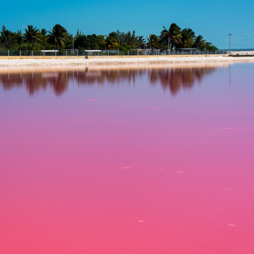 merida-yucatan-red-water-1000x1000-1-o