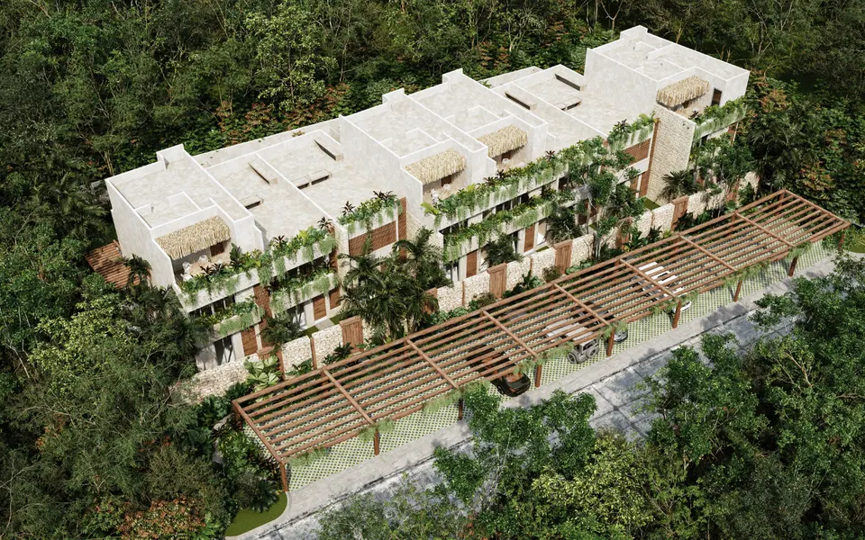 Junglar-Aerial view-front