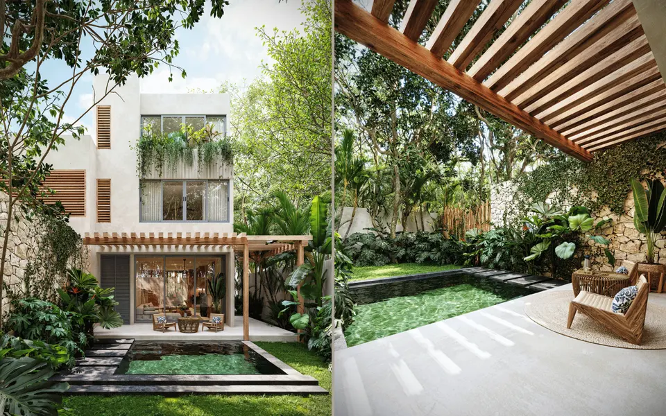 Junglar-terrace and pool